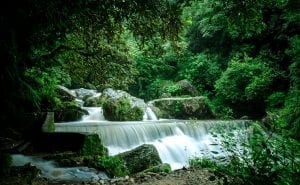 Sundarijal picnic spot