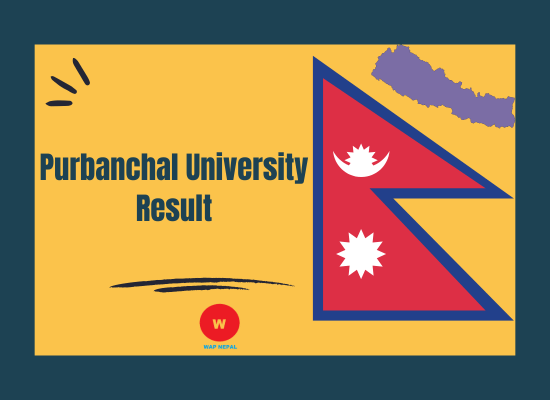 Purbanchal University Result