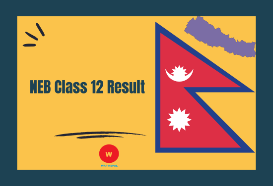 NEB Class 12 Result 2080 | NEB 12th Result with Marksheet