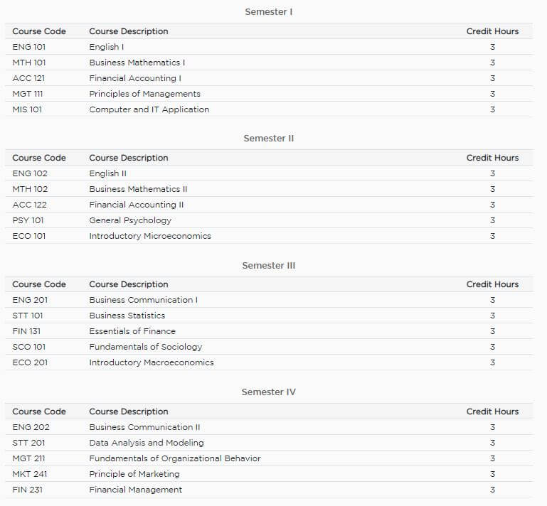 pokhara university bba syllabus