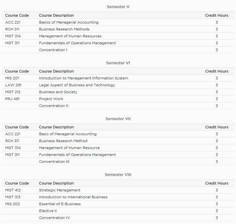 pokhara university syllabus BBA program