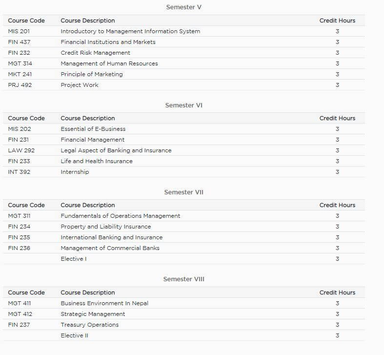 pokhara university syllabus bba bi program