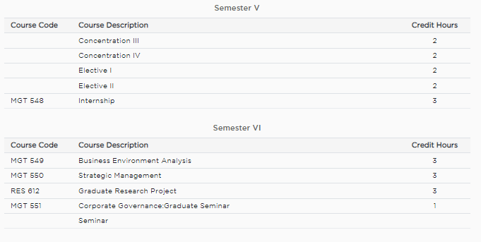 Pokhara University MBA Syllabus