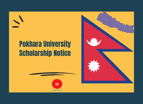 Pokhara University Scholarship Notice