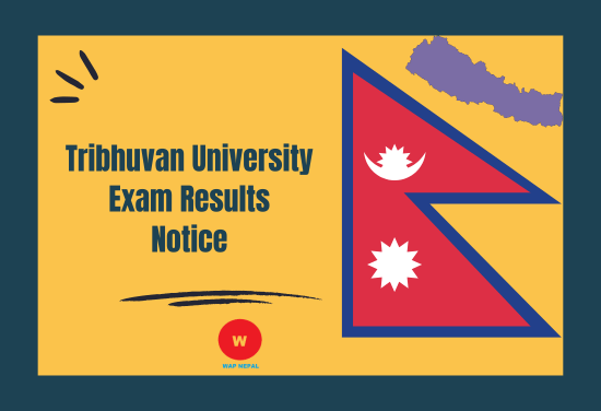 Tribhuvan University TU Exam Result 2080 with Marksheet