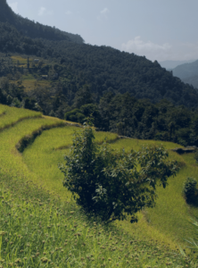 Land Measurement Converter Nepal – Aana, Dhur, Ropani, Square Feet ...